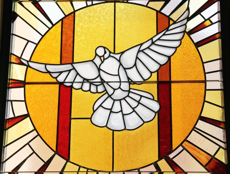 Dome Window Replacement